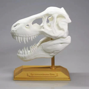 Usługa drukowania tworzyw sztucznych 3d, prototypowanie drukarek 3d Sls